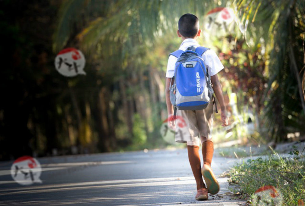 广东自考主考院校:华南理工大学_广东自考网_