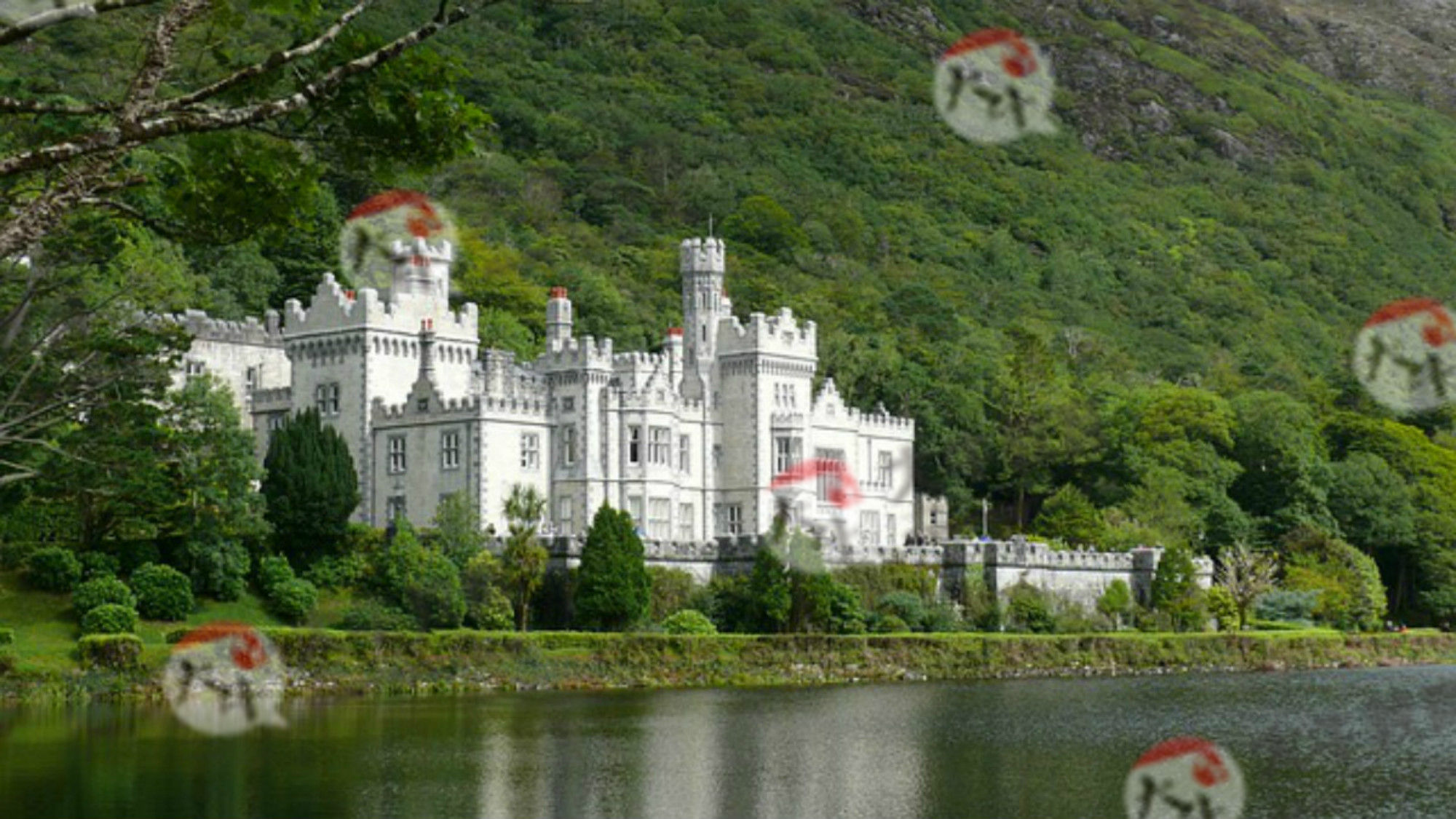 广东自考主考院校:华南理工大学_广东自考网_