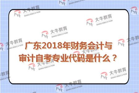广东2018年财务会计与审计自考专业代码是什