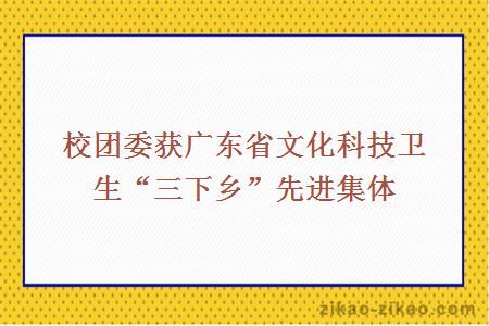 校团委获广东省文化科技卫生“三下乡”先进集体