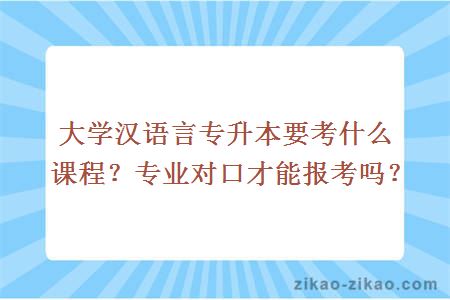 大学汉语言专升本要考什么课程?专业对口才能报考吗?