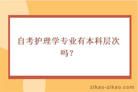 自考护理学专业有本科层次吗?