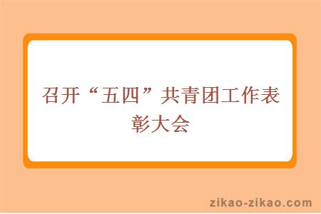 召开“五四”共青团工作表彰大会
