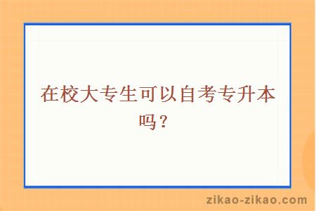 在校大专生自考专升本