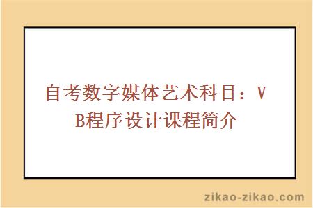 自考数字媒体艺术科目：VB程序设计课程简介