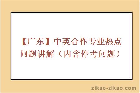 中英合作专业热点问题