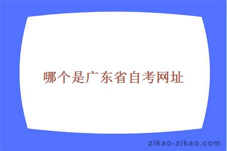 广东省自考网官网