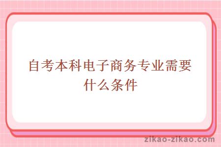 自考本科电子商务专业