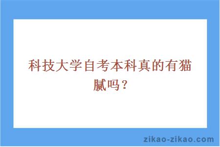 科技大学自考本科真的有猫腻吗?