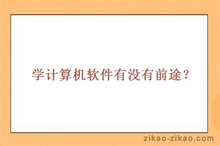 学计算机软件有没有前途？