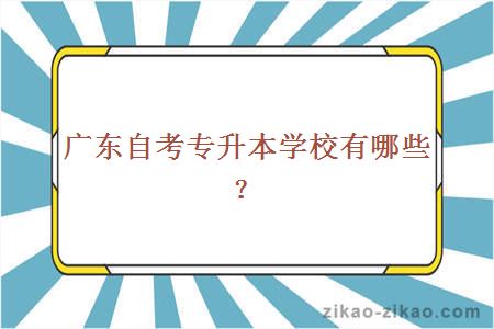 广东自考专升本学校有哪些?