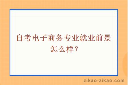 自考电子商务