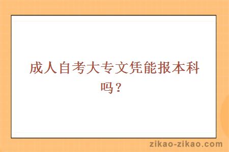 成人自考大专文凭能报本科吗?