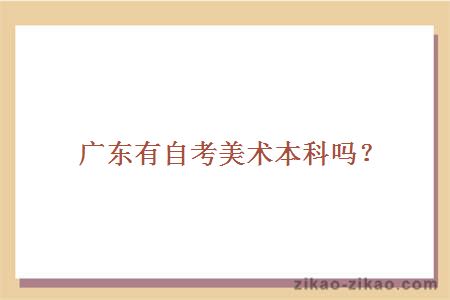 广东有自考美术本科吗?