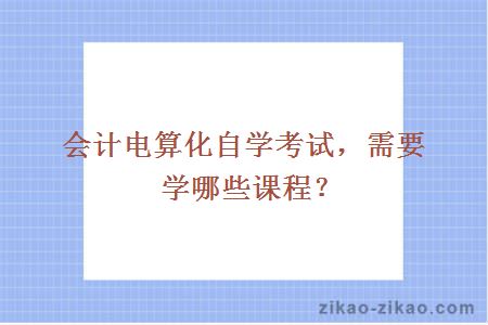 会计电算化自学考试