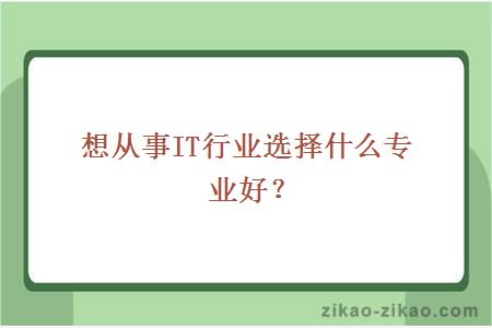 想从事IT行业选择什么专业好?