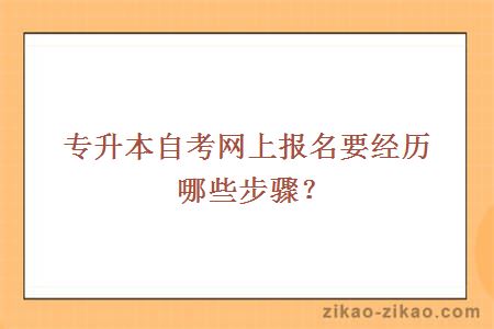 专升本网上报名