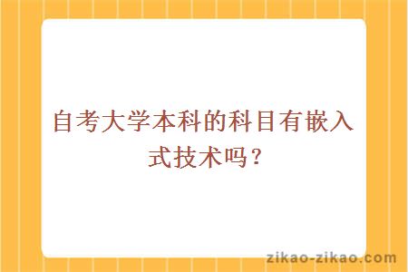 自考大学本科的科目有嵌入式技术吗?