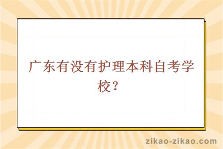 广东有没有护理本科自考学校？