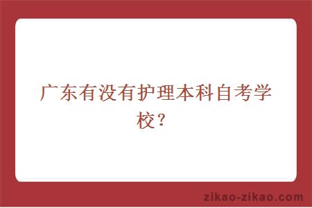 广东护理本科自考学校