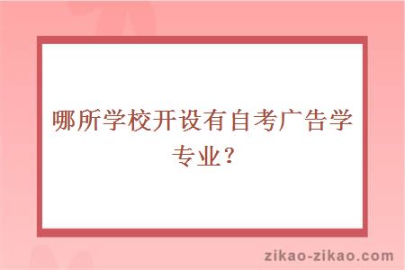 哪所学校开设有自考广告学专业？