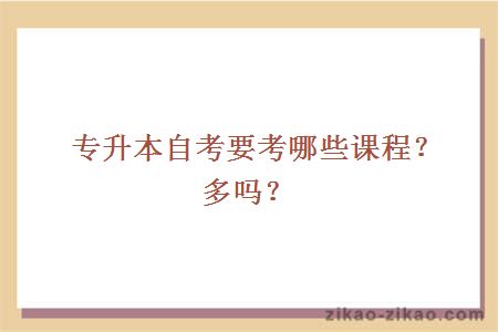 专升本自考课程