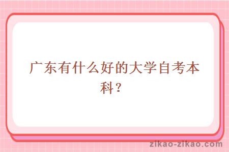 广东有什么好的大学自考本科?