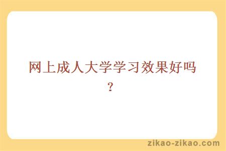 网上成人大学学习效果