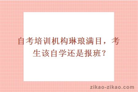 考生该自学还是报班