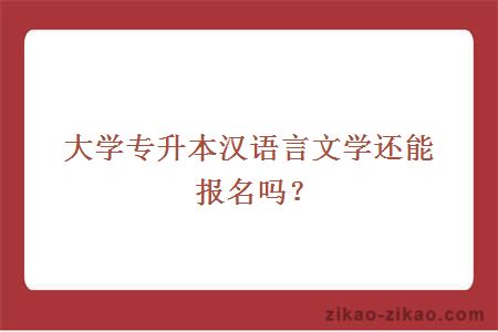 大学专升本汉语言文学