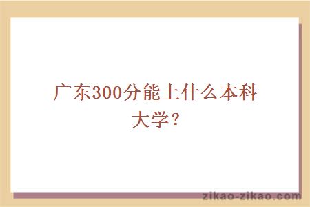 广东300多分能上什么本科大学