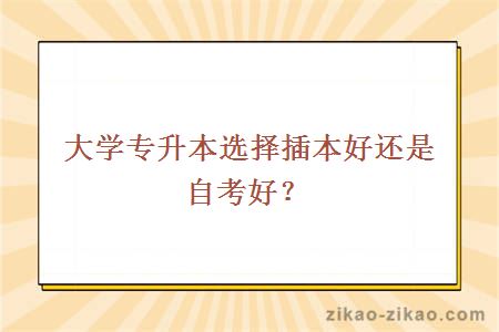 大学专升本选择插本好还是自考好?