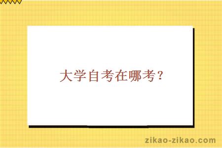 大学自考在哪考?