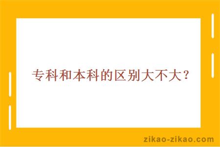 专科和本科的区别大不大?