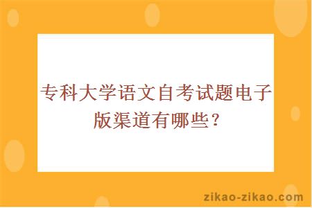 专科大学语文自考试题电子版渠道有哪些?