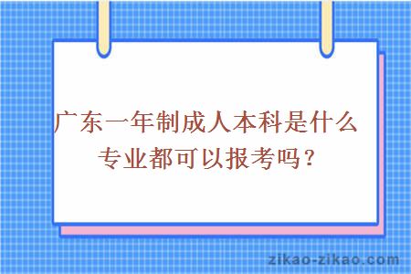 广东一年制成人本科