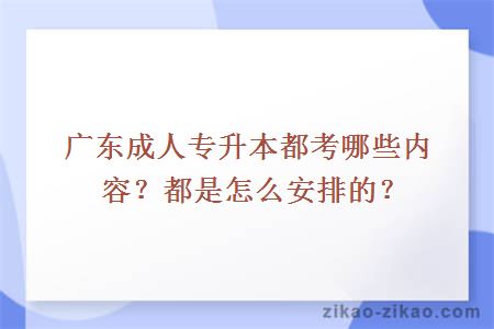 广东成人专升本