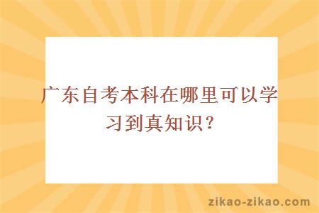 广东自考本科在哪里可以学习到真知识？