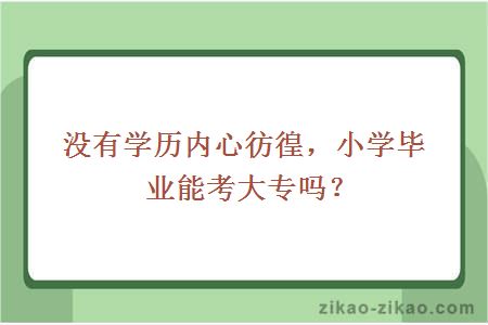 没有学历内心彷徨,小学毕业能考大专吗?