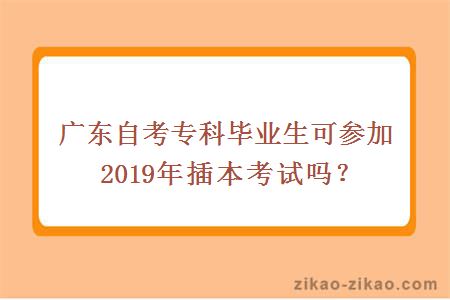 自考专科毕业生报考2019年插本考试