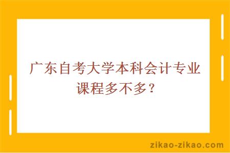 自考大学本科会计专业课程