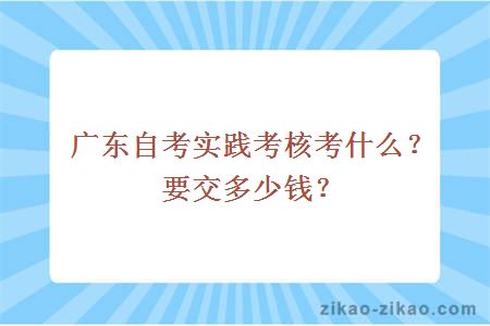 广东自考实践考核