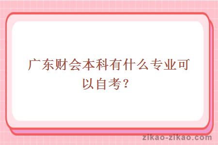 广东财会本科有什么专业可以自考？