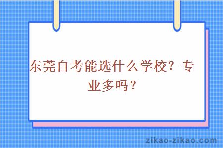 东莞自考能选什么学校