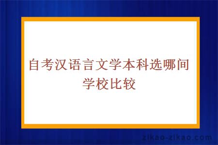 自考汉语言文学本科选哪间学校比较