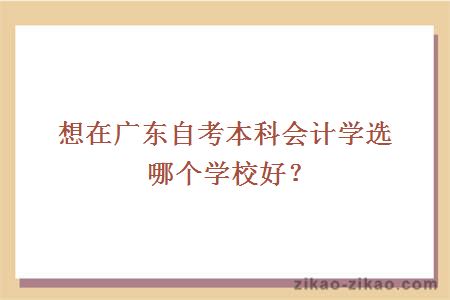 想在广东自考本科会计学选哪个学校好?