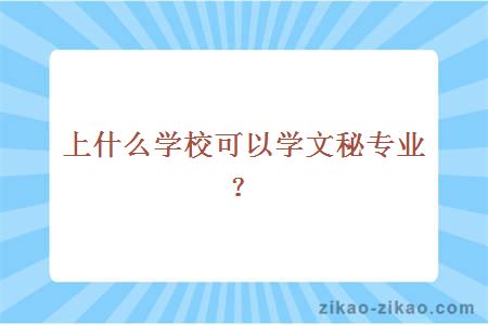 上什么学校可以学文秘专业