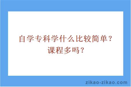 自学专科学什么比较简单?课程多吗?