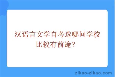 汉语言文学自考选哪间学校比较有前途?