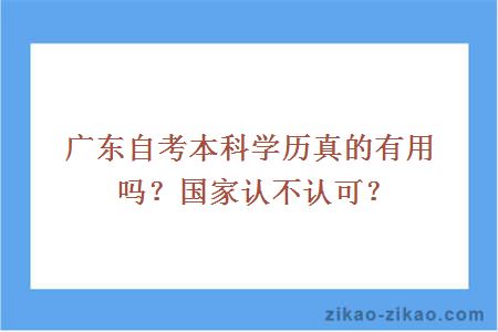广东自考本科学历真的有用吗?国家认不认可?